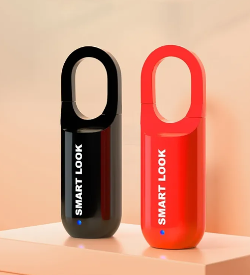 Smart Lock with Finger Print Detection